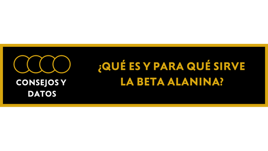 ¿Qué es la Beta Alanina y para que sirve?