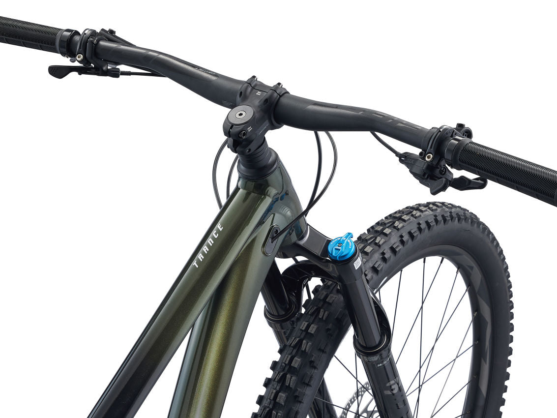 Bicicleta de montaña Giant Trance 29 1 (trail)