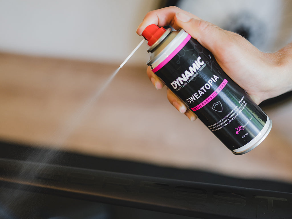 Protector Anticorrosivo Dynamic Sweatopia Spray 250 ml