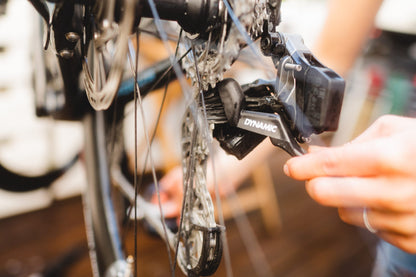 Dynamic drivetrain detailing brush