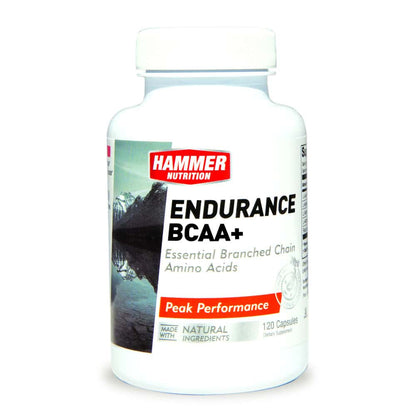 HAMMER NUTRITION AMINOACIDOS - Endurance BCAA+