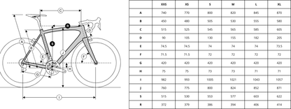 Bicicleta de Ruta Endurance Ridley Grifn A (azul)