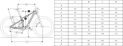 Bicicleta de MTB Doble suspensión Ridley Raft Trail (gris)