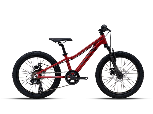 Polygon Relic 20 20X10 - Bicicleta Niño Aro 20 MTB. Frenos de disco, Color Rojo