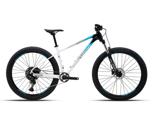 Polygon Xtrada 5 Wht/Blk - Bicicleta de MTB XC Crosscountry aluminio