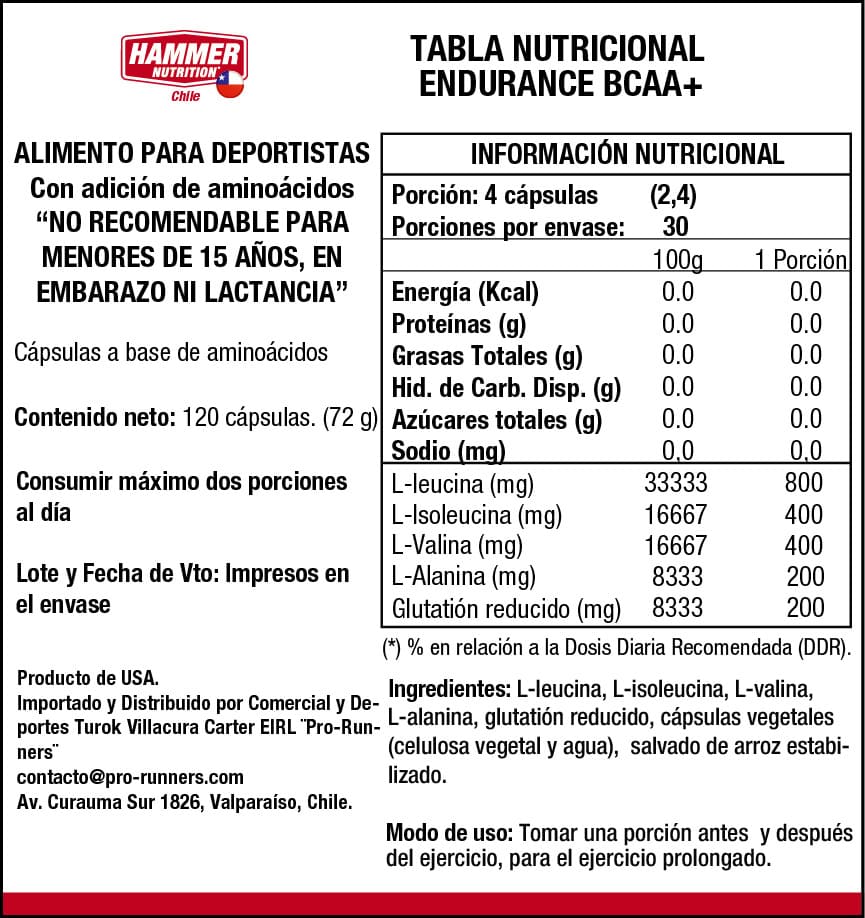 HAMMER NUTRITION AMINOACIDOS - Endurance BCAA+
