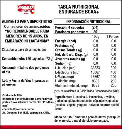 HAMMER NUTRITION AMINOACIDOS - Endurance BCAA+
