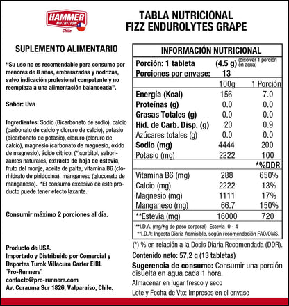 Hammer Nutrition Kit Endurolytes Fizz – Tabletas efervescentes de electrolitos (5 tubos)