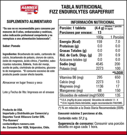 Hammer Nutrition Kit Endurolytes Fizz – Tabletas efervescentes de electrolitos (5 tubos)