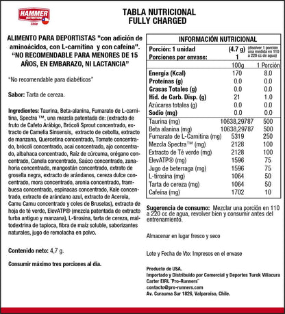 Hammer Nutrition Fully Charged – Preentreno con aminoácidos, L-carnitina y cafeína (2 formatos)