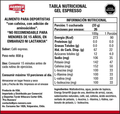 Hammer Nutrition Kit Hammer Gel – Gel energético de carbohidratos complejos (10 sachets)