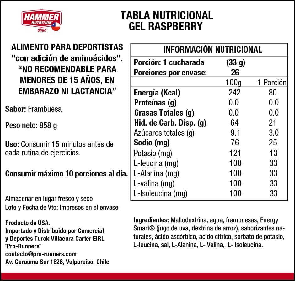 Hammer Nutrition Gel – Gel energético de carbohidratos con aminoácidos (unidad, botella o caja de 24)