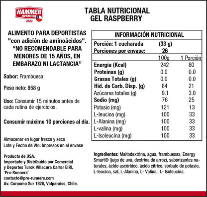 Hammer Nutrition Kit Hammer Gel – Gel energético de carbohidratos complejos (10 sachets)