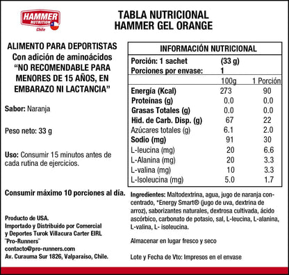 Hammer Nutrition Kit Hammer Gel – Gel energético de carbohidratos complejos (10 sachets)