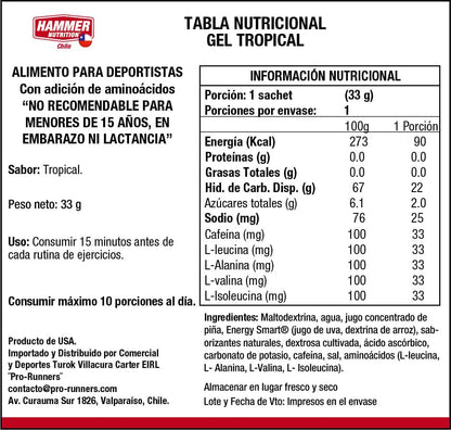 Hammer Nutrition Kit Hammer Gel – Gel energético de carbohidratos complejos (10 sachets)