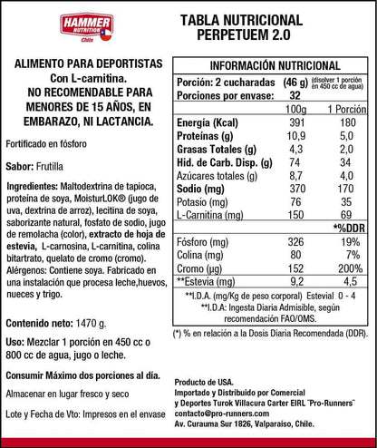 Hammer Nutrition Perpetuem 2.0 – Bebida deportiva para salidas largas (32 porciones o porción individual, 4 sabores)