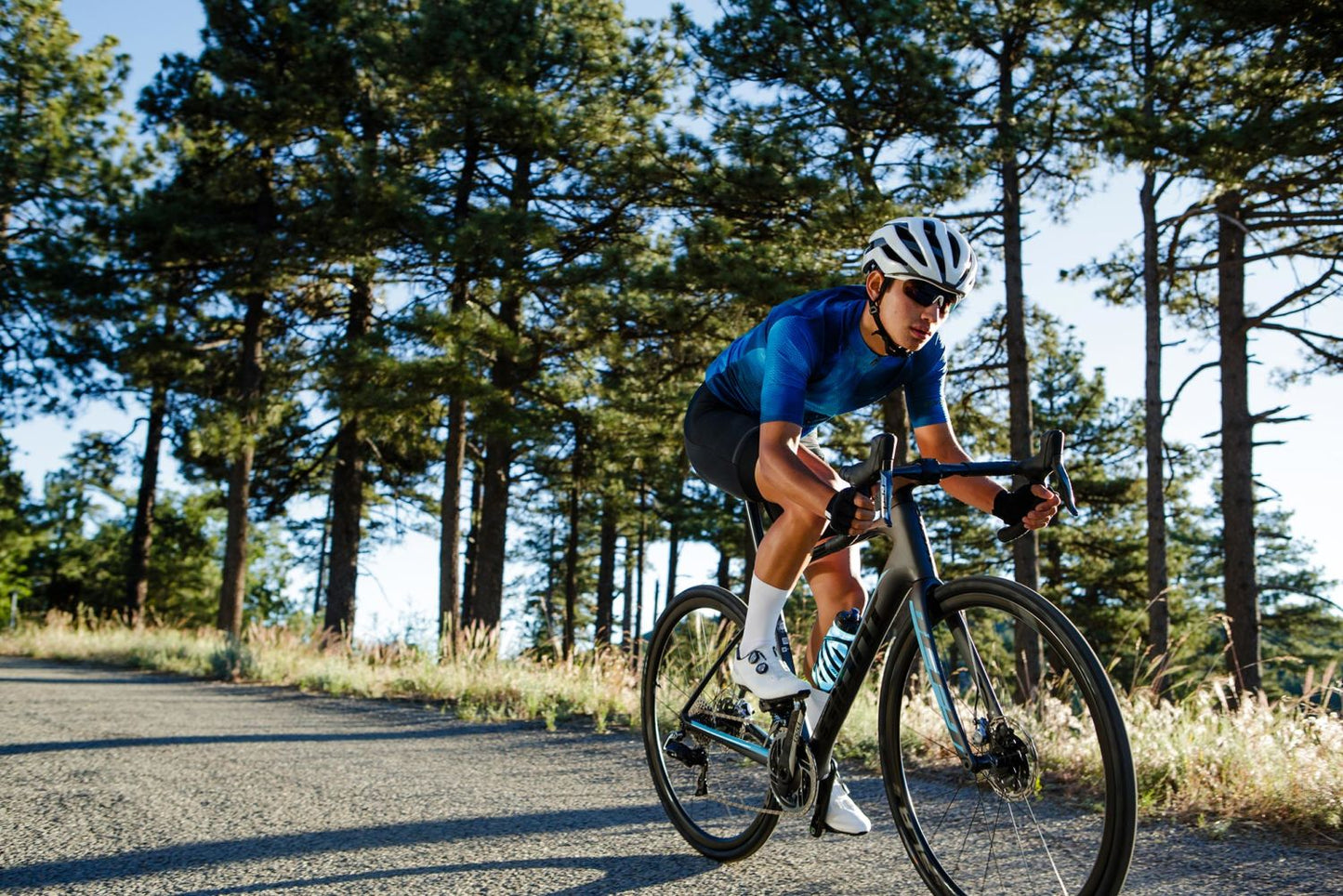 Neumático de Ciclismo de Ruta Giant Gavia Fondo 700x28c