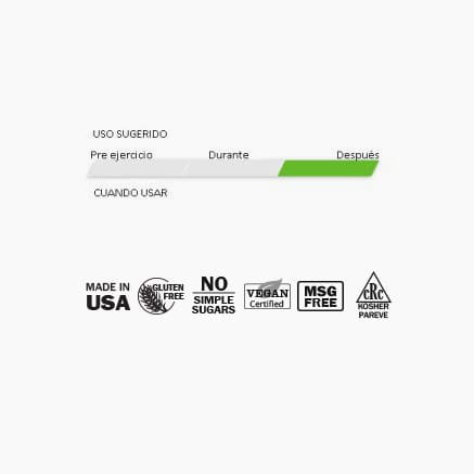 Hammer Nutrition Recoverite – Bebida de recuperación en polvo (32 porciones)